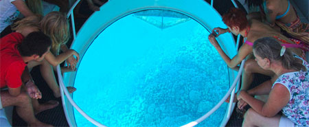 viewing port unveils the splendor of the reefs unbelievable abundance