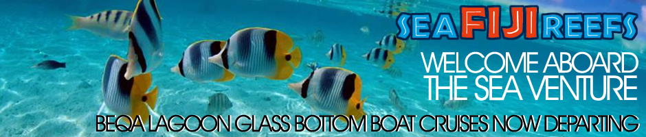 Welcome Aboard The Sea venture - Glass Bottom Boat Tours Fiji